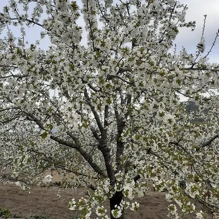 Casa Belen I Y Ii * Madronal