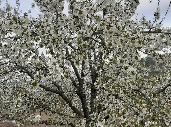 Casa Belen I Y Ii * Madronal